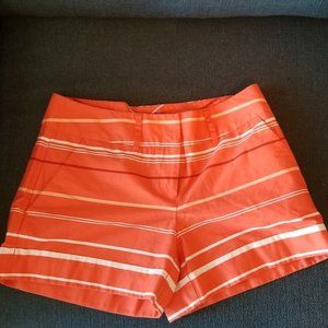 NY & Company Shorts